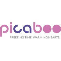 Picaboo logo - Similar company to Karan S Kumar
