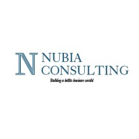 NUBIA Consulting logo - Similar company to Magnus Consulting