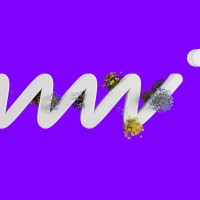 Hunni Dev logo - Similar company to The Playbook