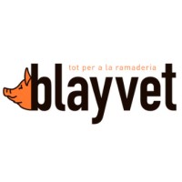 BLAYVET logo - Similar company to Artplay Creatividad Visual, S.L