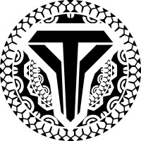 Ytulum logo - Similar company to Virtual Tech School