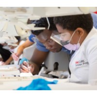 UMB CURE Scholars Program logo - Similar company to University Of Maryland Baltimore Institute For Clinical & Translational Research (Umb Ictr)