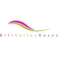 Rift Valley Roses Kenya Limited logo - Similar company to Bilashaka