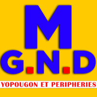 Group Nour Distribution logo - Similar company to Eburnie Gold Fields