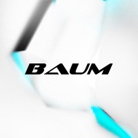BAUM logo - Similar company to Wiregate - It Company