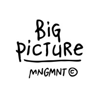 Big Picture Mgmt logo - Similar company to Myxstem