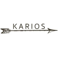 Karios Technologies, Inc. logo - Similar company to Immunolight, Llc