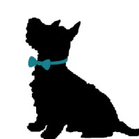 Yogi's Podcast Network logo - Similar company to Decibelio85 Pódcast