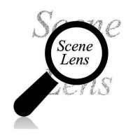 Scenelens, Llc