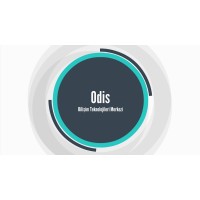 Odis Bilişim Teknolojileri logo - Similar company to Odis Technology Co. Ltd