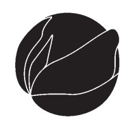 Fresh Structures Floral Design Studio