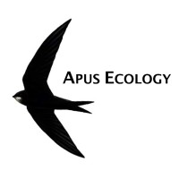 APUS ECOLOGY