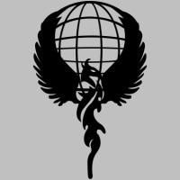 Phoenix Biz Solutions logo - Similar company to Insenc It Solutions