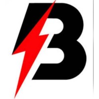 Bright Power Solutions Pvt Ltd logo - Similar company to Dynamo Power