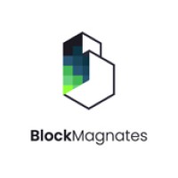 Block Magnates logo - Similar company to Dised