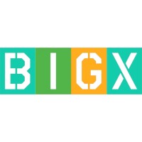 BIGX GLOBAL GROUP (Known as SUPERFRESH CO., LTD) logo - Similar company to Nr Vision Exim