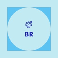 Blue Rocket Academy logo - Similar company to Jei Learning Centers, Llc