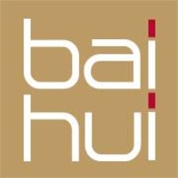 Bai Hui Instituto de Acupuntura logo - Similar company to Zang Fu Massagem, Quiropraxia E Acupuntura