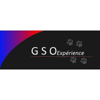 GSO Expérience logo - Similar company to Princeps Strategy