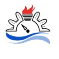 Iranian Flow Measurement Institute (IFMI) logo - Similar company to Nse Datis