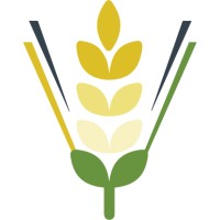 YGRAINS logo - Similar company to Mdagri
