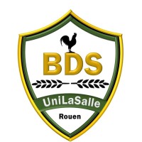 BDS UniLaSalle Rouen logo - Similar company to Ivsa Rouen