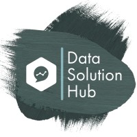 Data Solution Hub Ltd logo - Similar company to Data Architect Ai