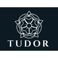 Tudor International logo - Similar company to Findtalunt™