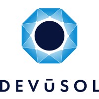 DEVUSOL logo - Similar company to Spacemade