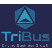 Tribus Consulting logo - Similar company to Tribus Limited