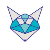 Skyfox Digital Ltd. logo - Similar company to Vema Trader