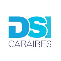 DSI CARAÏBES logo - Similar company to Integrated Systems (Itss)