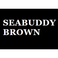 seabuddybrown logo - Similar company to Bckspace Eyewear