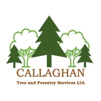 Callaghan Tree and Forestry Consultants logo - Similar company to Urban Forestry Group