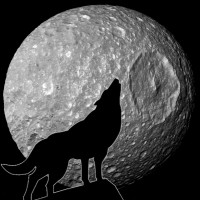 Lone Wolf