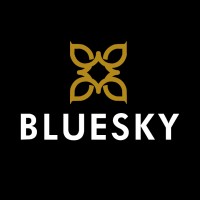 Bluesky SA (South America) logo - Similar company to Bohlingers