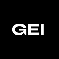 Global Epicenter Initiative logo - Similar company to Support Systems Limited