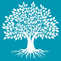 Money Flow logo - Similar company to Argent Conté