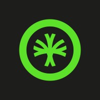 Netzer Finance logo - Similar company to Maiti Consult