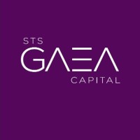 STS Gaea Capital logo - Similar company to Gostei