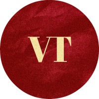 The Vide Times logo - Similar company to Purplecrest | Management Consulting