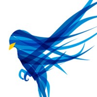 Blue Finch Film Releasing logo - Similar company to Code Is Dead