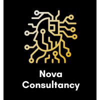 Nova Consultancy logo - Similar company to Public Policy Lab