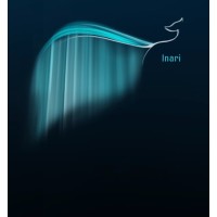 Inari - Coaching & Social Dreaming logo - Similar company to Jl Wallenberg