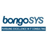 BongoSys Inc. logo - Similar company to Hotlist