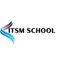 ITSM School logo - Similar company to Sociotech