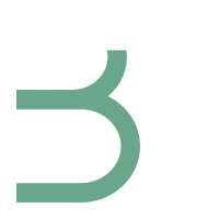 Baumann Executive Consulting GmbH logo - Similar company to Papillon Executive