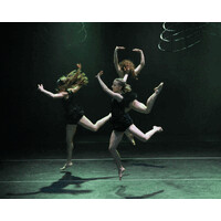 Alessandra Corona Performing Works Ltd