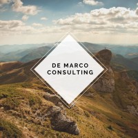 De Marco Consulting logo - Similar company to Ones Group