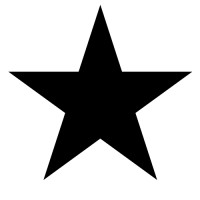 LoneStar Consulting logo - Similar company to Parents In Partnership